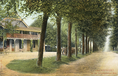 13048 Gezicht in de Utrechtseweg met rijen loofbomen, bij de kruising met de Tesselschadelaan (links) en de Prins ...